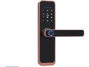 SENX5 intelligent SMART lock